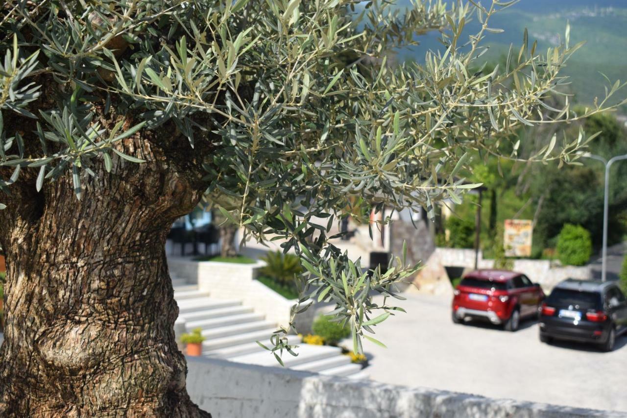 טיראנה Chateau Linza Resort מראה חיצוני תמונה