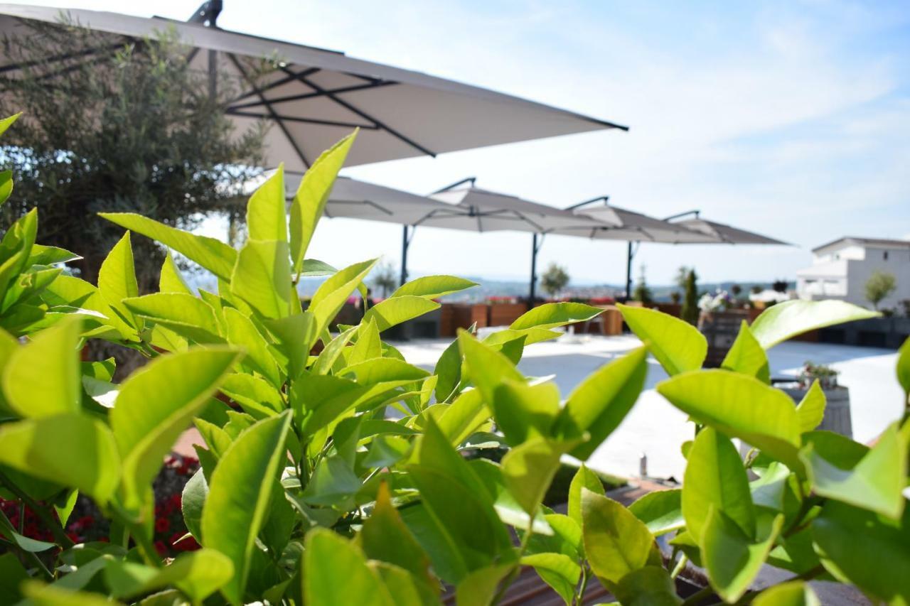 טיראנה Chateau Linza Resort מראה חיצוני תמונה